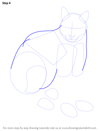 Алгоритм рисования рыси для детей