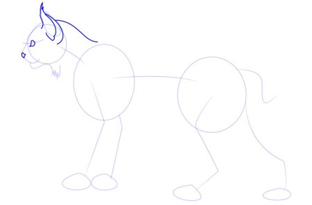 Поэтапное рисование рыси для детей