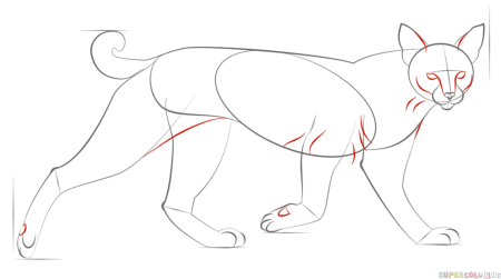 Рисунки животных