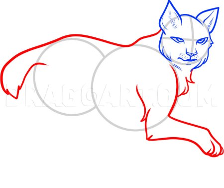 Рисование для дошкольников Рысь