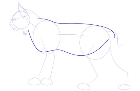Рысь рисунок пошагово
