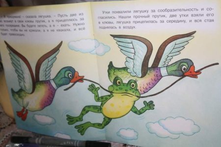 Лягушка путешественница рисунок для детей карандашом поэтапно легко