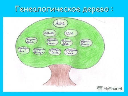 Нарисовать родословное дерево