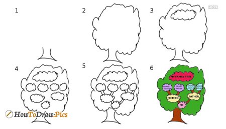 Рисунок семейного дерева поэтапно сложно карандашом
