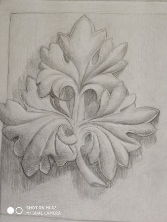 Линейно-конструктивный рисунок гипсовой розетки