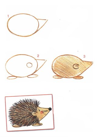 Части тела ежа для детей