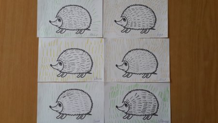 Поэтапное рисование ежика