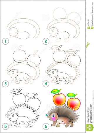 Поэтапное рисование ежа