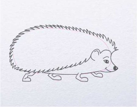 Поэтапное рисование ежика для дошкольников