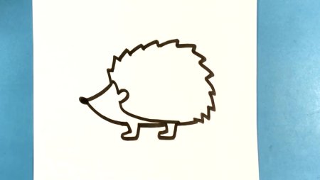 Ёж рисунок линии