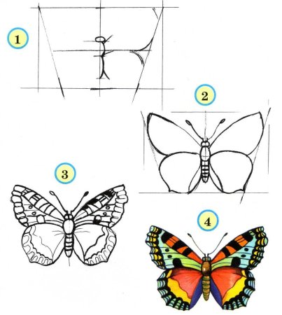 Рисунок поэтапно для детей бабочка (50 фото)