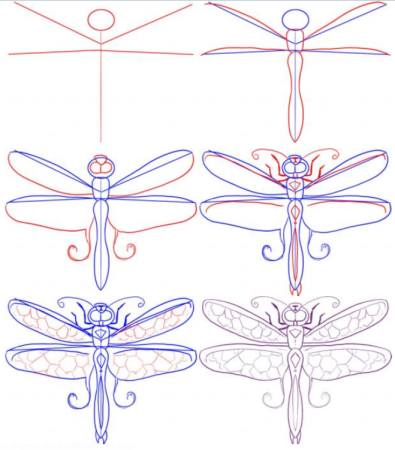 Этапы рисования бабочки