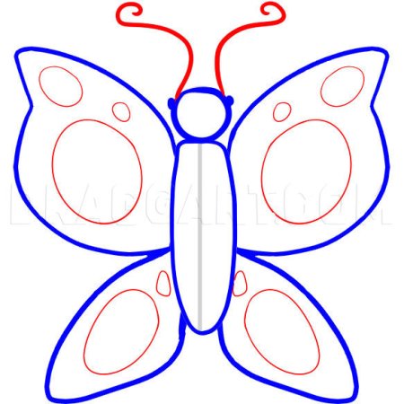 Поэтапное рисование бабочки