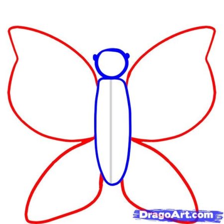 Поэтапное рисование бабочки