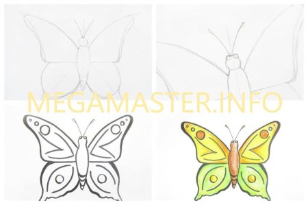 Схемы рисования для детей 5 лет