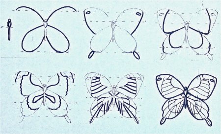 Бабочка схематично для детей