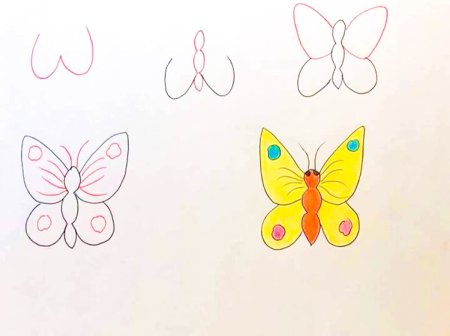 Поэтапное рисование бабочки