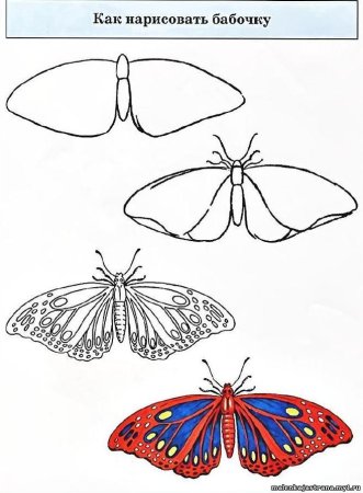 Этапы рисования бабочки