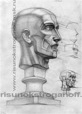 Экорше Гудона Академический рисунок