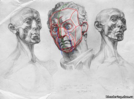 Гипсовая голова Экорше рисунок