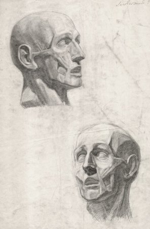 Экорше Гудона рисунок