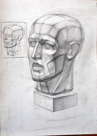 Экорше голова Академический рисунок