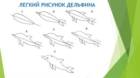 Схема рисования дельфина для детей