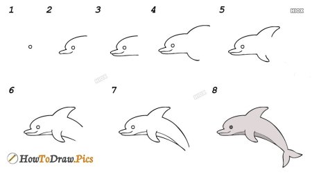 Дельфин рисование поэтапное для детей