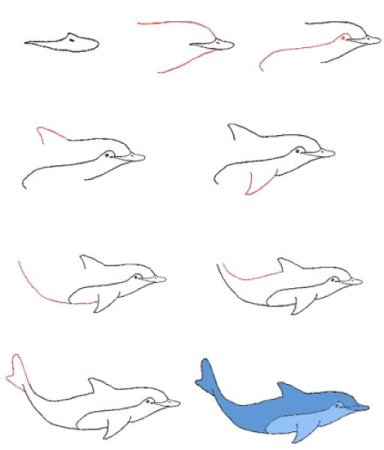Пошаговое рисование дельфина