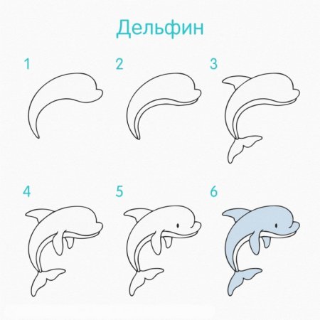Пошаговое рисование для детей Дельфин