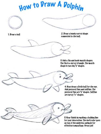 Поэтапное рисование дельфина