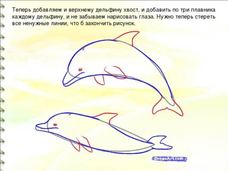 Рисунок дельфина
