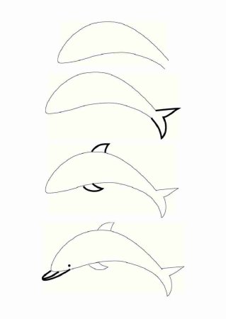 Пошаговое рисование морских обитателей для детей