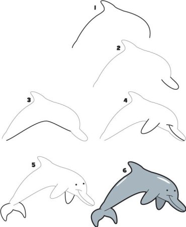 Рисовать дельфина