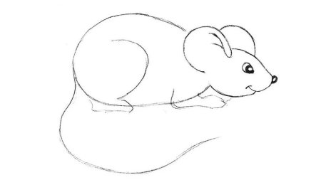 Мышка поэтапно рисунок для детей (51 фото)