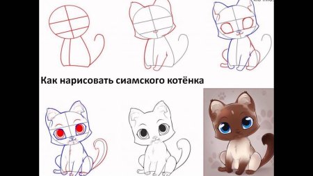Как нарисовать милого котенка легко поэтапно
