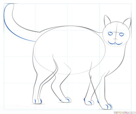 Последовательность рисования кошки