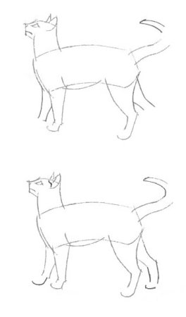 Сиамская кошка нарисовать ребенку легко