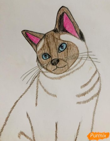 Как нарисовать кошку как настоящую