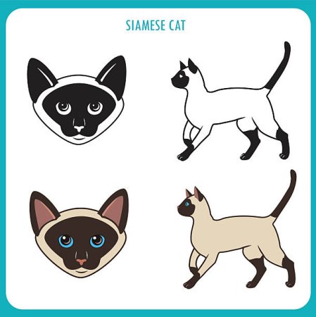 Наброски животных легкие