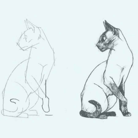 Кошка рисунок карандашом поэтапно