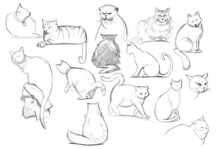 Как нарисовать кота пошагово