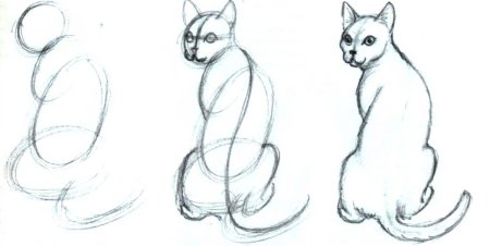 Рисуем сиамскую кошку карандашом поэтапно