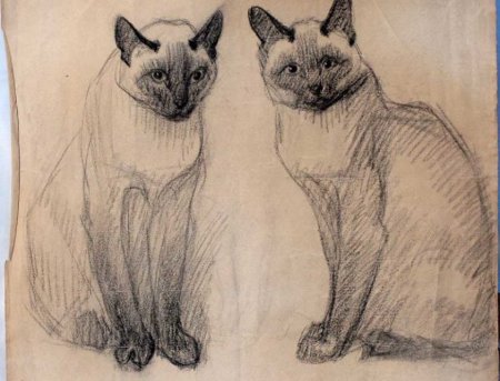 Пошаговые рисунки