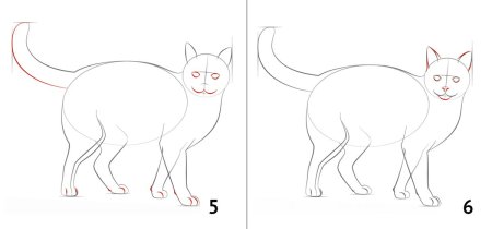 Ориентальная кошка раскраска