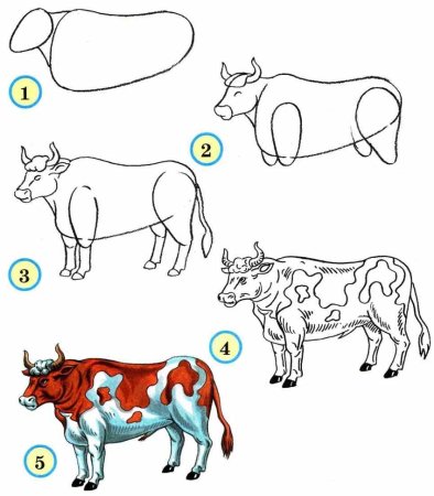 Схема как нарисовать корову
