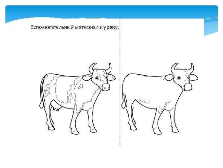 Рисуем корову пошагово