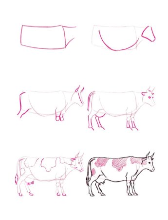 Нарисовать корову поэтапно