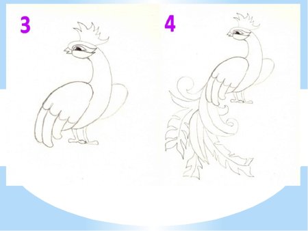 Как нарисовать Жар птицу поэтапно