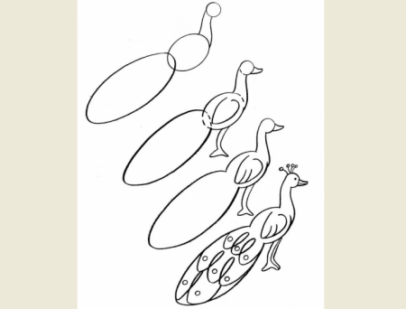 Павлин поэтапное рисование для детей